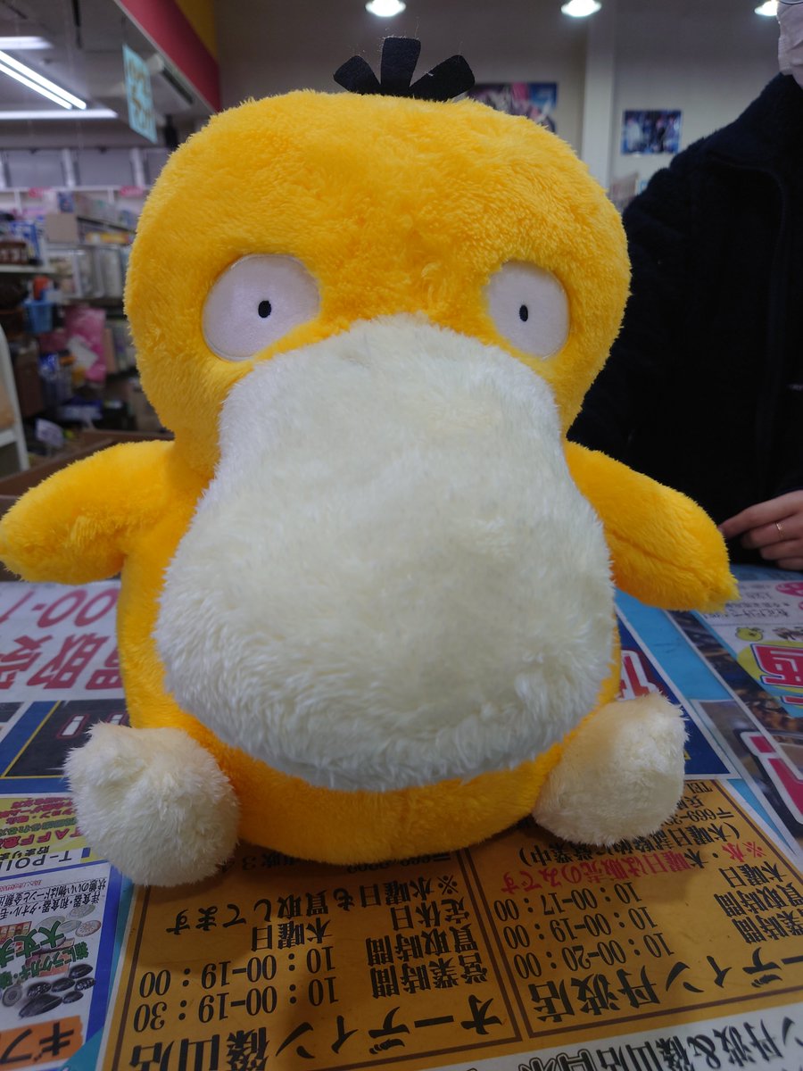 オーディン丹波店 Fate Sf マシュキリエライト ポケモン コダック 入荷