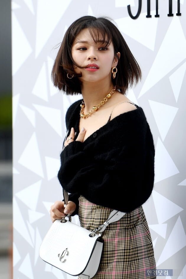 ErvcEePVQAI9IEG?format=jpg&name=medium