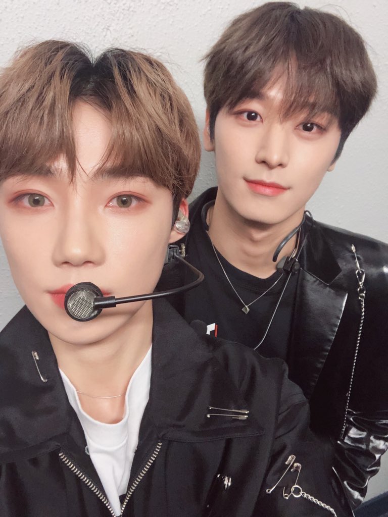 nyuslog's tweet photo. 🤍🐈🖤 https://t.co/it8zCcWo2h