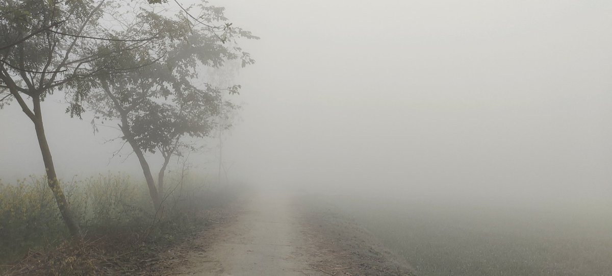 santprasadm's tweet photo. उफ्फ ! अपना उड़वा गांव भी कश्मीर हो गया...
Good morning ⛄
#WINTER
#udwa #Amethi https://t.co/cdO9mKWsEd