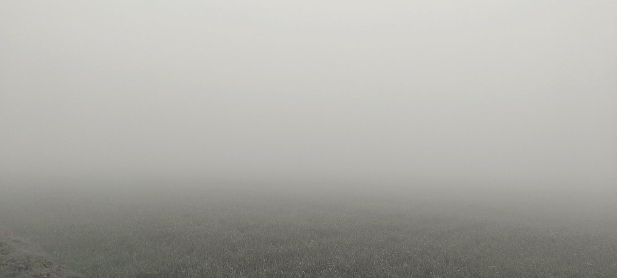 santprasadm's tweet photo. उफ्फ ! अपना उड़वा गांव भी कश्मीर हो गया...
Good morning ⛄
#WINTER
#udwa #Amethi https://t.co/cdO9mKWsEd