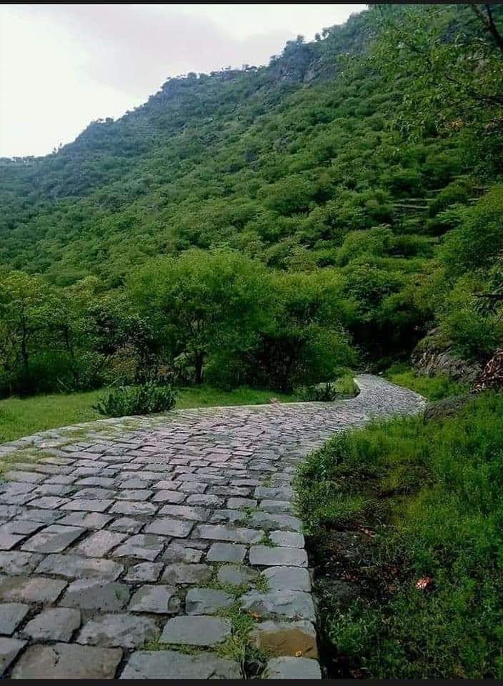 صفوان tweet media