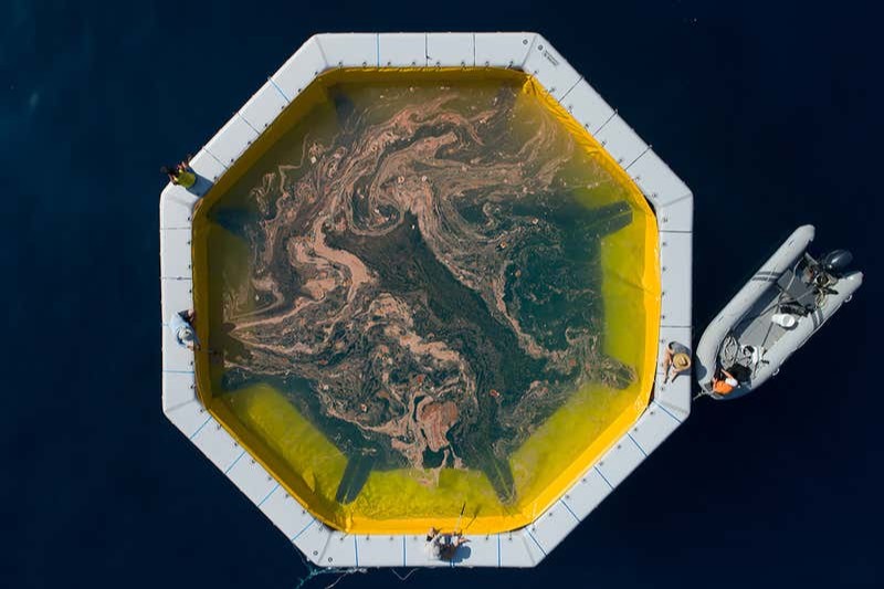 #QUT Professor Matthew Dunbabin’s small, remote-controlled robotic boat, delivers sandwiches on-demand and disperses coral larvae on the #GreatBarrierReef for coral seeding: bit.ly/2LM4FHi New Scientist #STEM #ClimateChangeImpacts