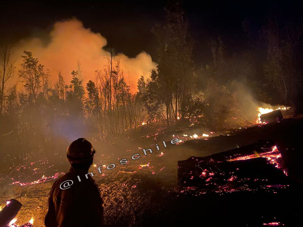 🔥EMERGENCIAS FORESTALES🔥🚁 tweet media