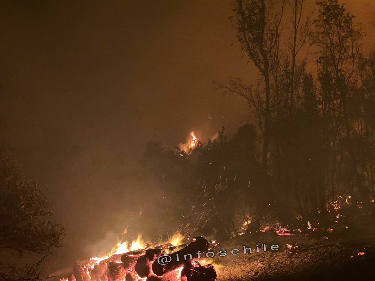 🔥EMERGENCIAS FORESTALES🔥🚁 tweet media