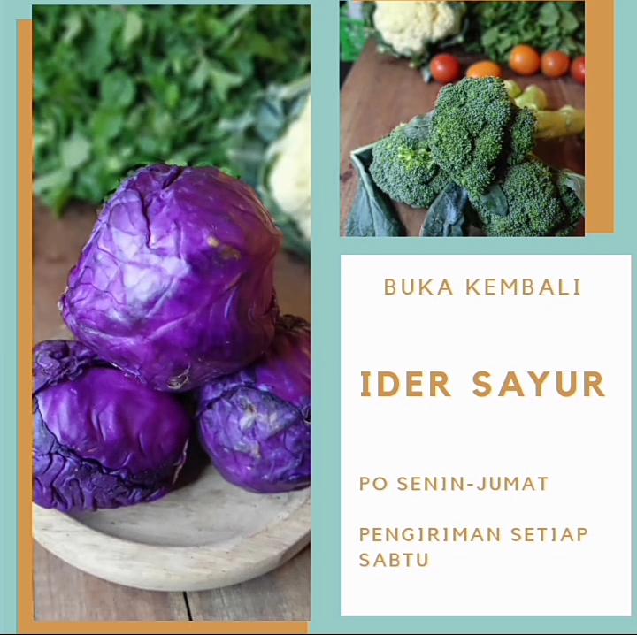 Muhammad Anwar tweet media