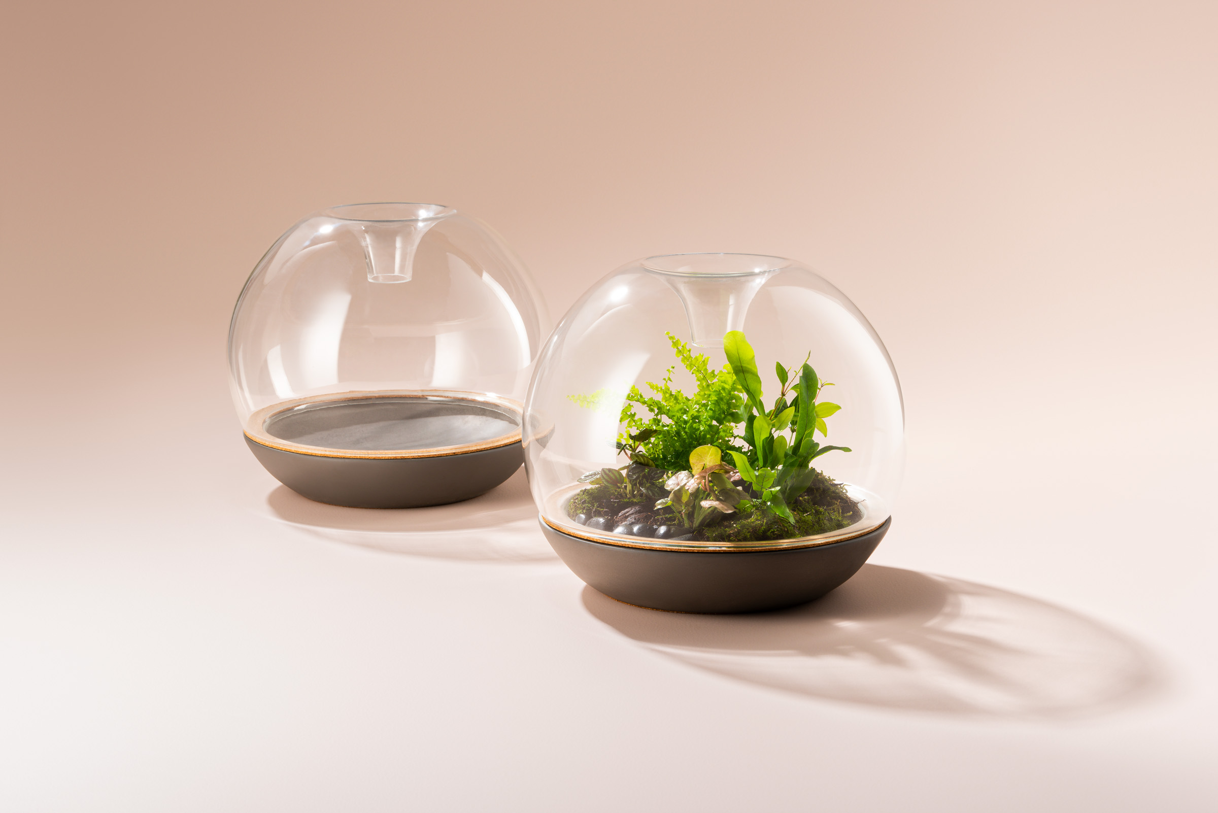 Botanica Japan 簡単にテラリウム Botanica Japan Twitter