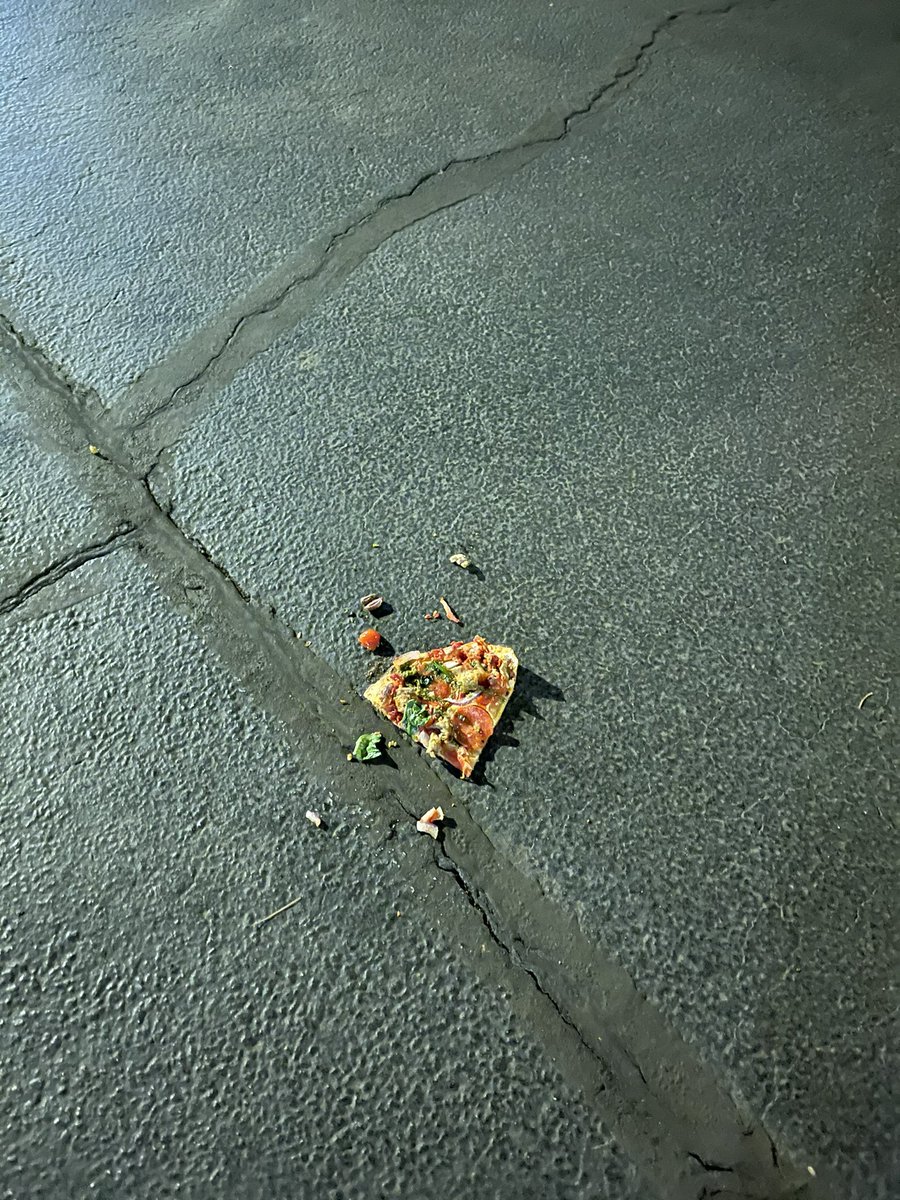 garfbarfbby's tweet photo. My friend dropped his pizza today https://t.co/jw1DWpY7ox