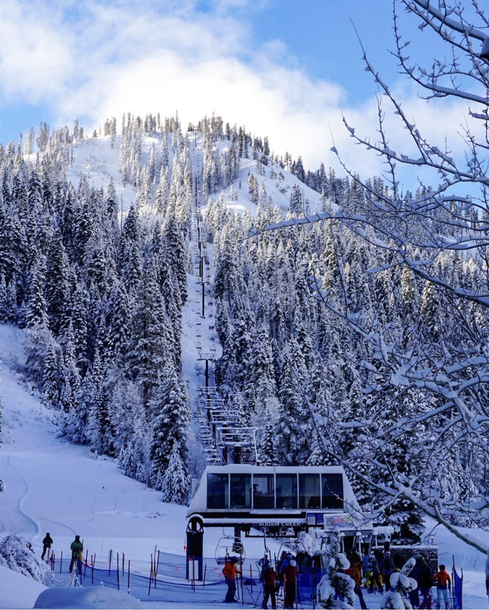 visitplacer's tweet photo. @SquawAlpine powder days are where it’s at. 🏂

📸: @SquawCreek
#VisitPlacer #PlacerCounty #PlacerLife #VisitCalifornia https://t.co/J98JeSzj0M