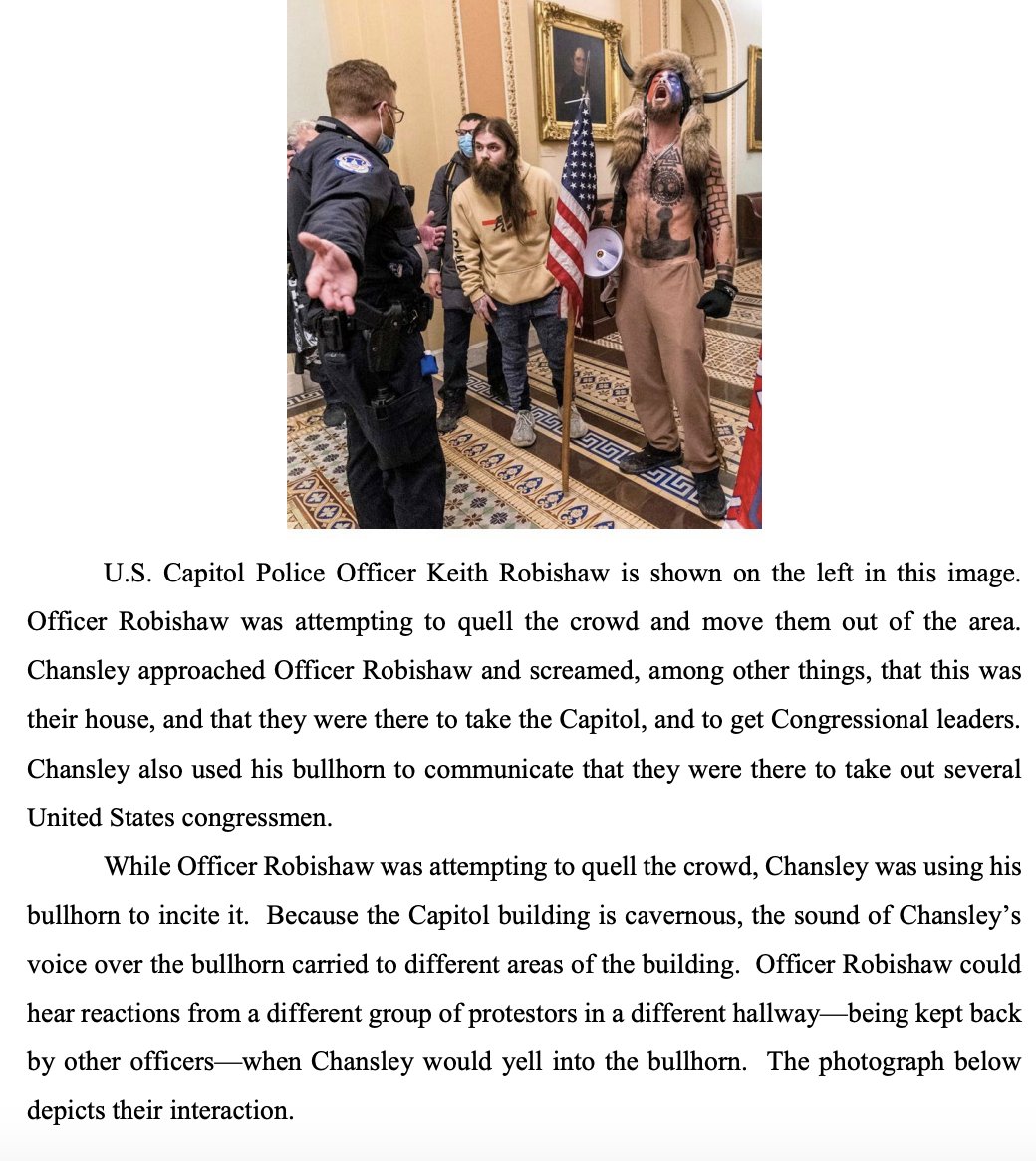 MORE details about the Q Shaman, Jake Chansley, released tonight. He apparently used a bullhorn to urge people to "get Congressional leaders" and told a cop they were there to take over the Capitol https://www.courtlistener.com/recap/gov.uscourts.azd.1258007/gov.uscourts.azd.1258007.5.0.pdf