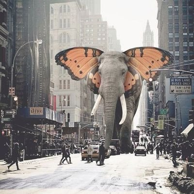 TheVorbing's tweet photo. #photooftheday #NaturePhotography https://t.co/Kwyvjbeuj3