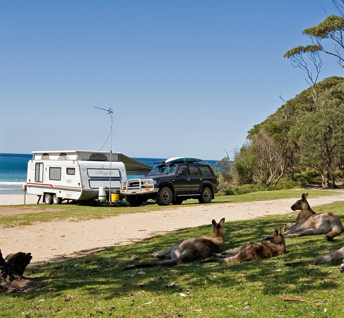 gingerbcontent's tweet photo. As plans for European cruises and trips to Bali go in the bin, Aussies are looking at the great tradition of caravanning. But there are a few things you need to know first, Check out our piece for @RACV_Official mag! #vanlife #caravans https://t.co/B4vp031Tgh https://t.co/pyNsHUF018