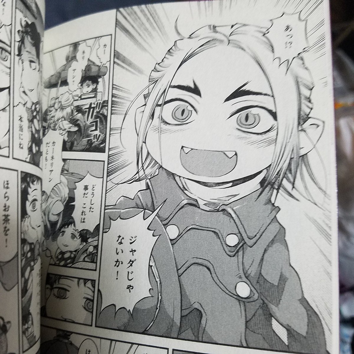 「ハクメイとミコチ」9巻買う。
今回も動物さんたちが素敵。
ところで久々のカーネリアンさん、なんとなく300億の人っぽい?