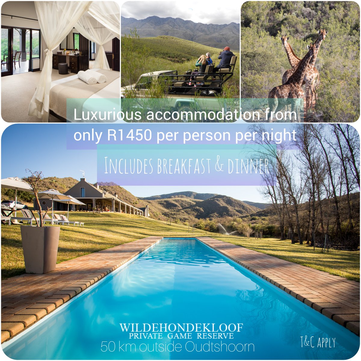 Great #specials 
Luxury # accommodation <a href="/visitoudtshoorn/">Oudtshoorn Tourism</a> #oudtshoorn
#gamefarm #reserve <a href="/LekkeSlaap/">LekkeSlaap</a> <a href="/CapeCountryR/">Cape Country Routes</a>