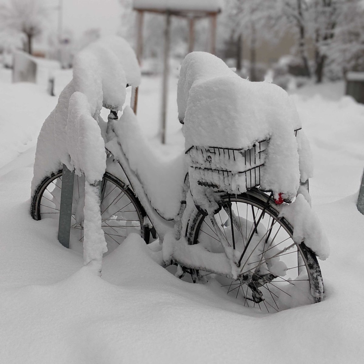 mptechnology's tweet photo. Wann beginnt eigentlich die #biketowork challenge 2021? ❄️🚴 #HomeOffice hat durchaus seine Vorteile 😅 https://t.co/geZIDDCLoQ