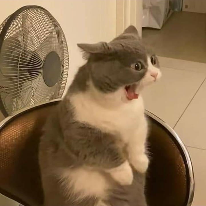 Ne demek                         ASLA YUNHO'M
asla Yunho'm                   OLMAYACAK
olmayacak                       NE DEMEK??