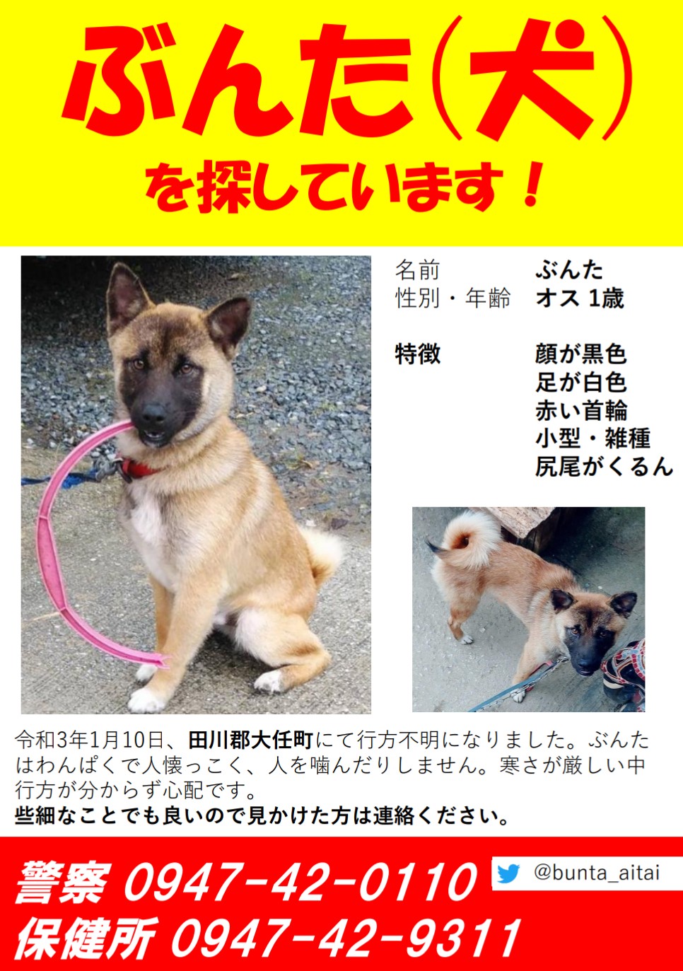 ぶんた 犬 探しています ぶんたの行方が分かりません 早く家に連れて帰ってあげたいです コンビニや動物病院にもチラシを貼らせていただいています 福岡県田川警察署 福岡県田川保健福祉事務所 田川保健所 些細なことでも良い