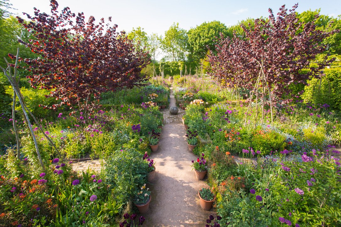 We have the second of our two celebratory Gardeners World programmes tonight at 8pm on BBC2. 
A taste of the best of last summer and foretaste of what will surely come again soon.
Picture of the Jewel garden by Marsha Arnold marshaarnold.co.uk