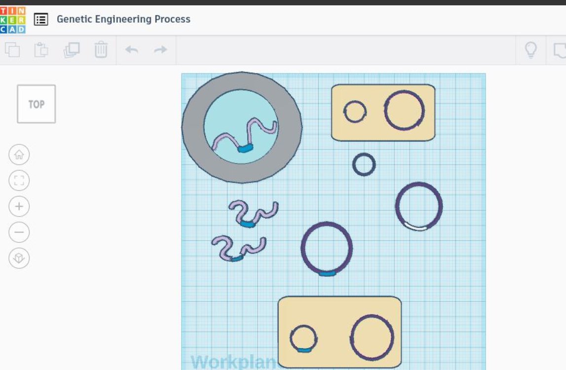 BiologyHutchie's tweet image. Some S3 pupils using Tinkercad to demonstrate genetic engineering #morecreativity @HGSTechnology