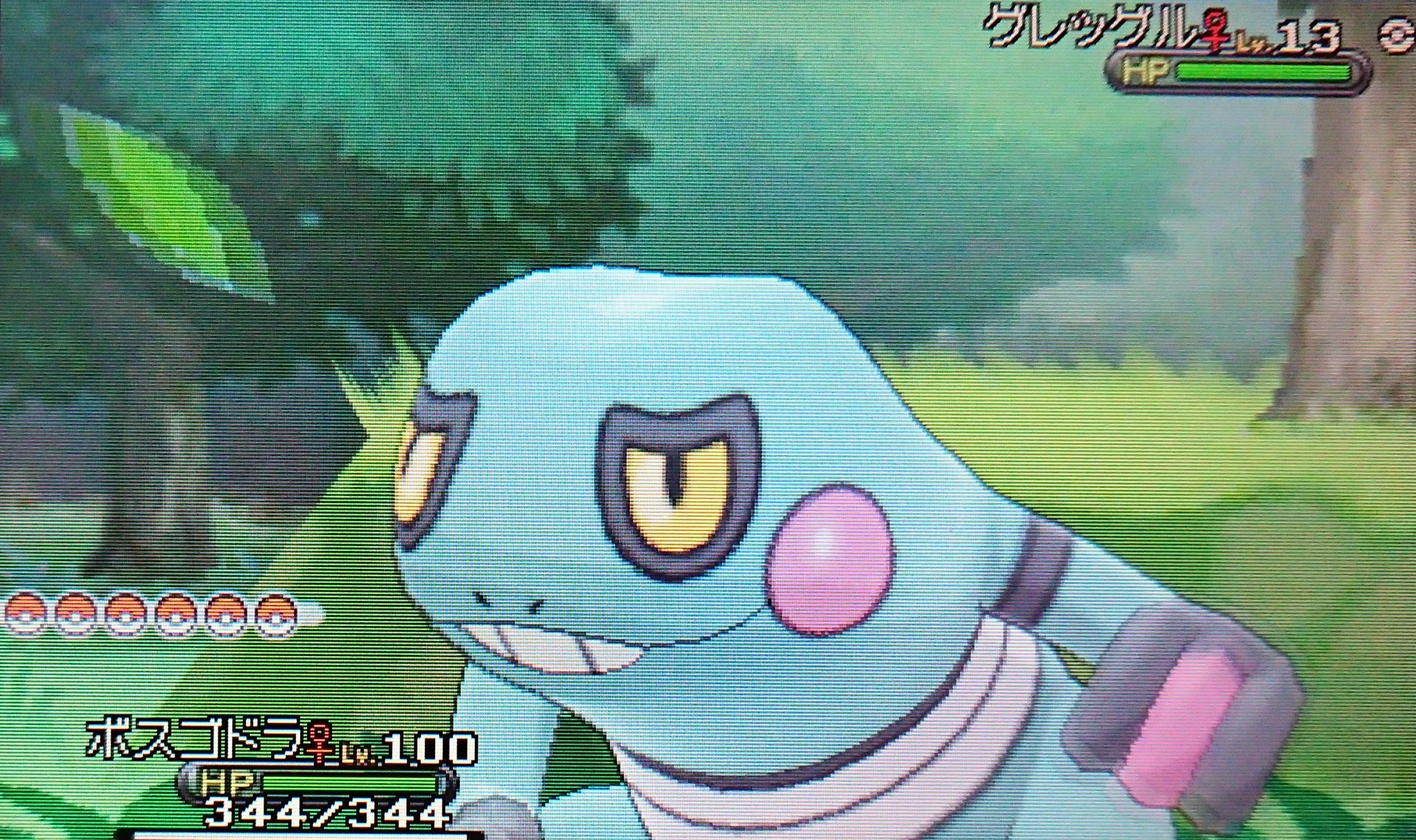 くまぼうし Xyポケトレ 色違いグレッグル ポケモン 色違いポケモン T Co Slcvrl3wnz Twitter くまぼうし Xyポケトレ 色違いグレッグル ポケモン 色違いポケモン T Co Slcvrl3wnz Twitter