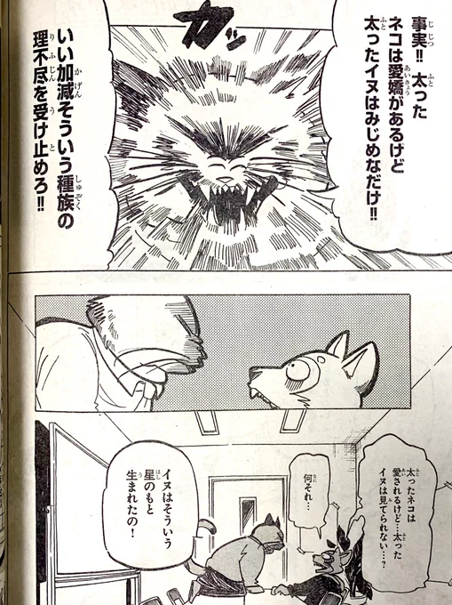 ひどい偏見に満ちた1ページ 