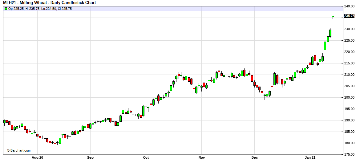 Meanwhile in Paris EUR 235.75/t 😕
