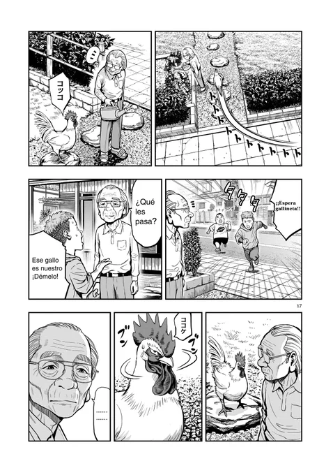 ROOSTER FIGTHER_01(5/8) 