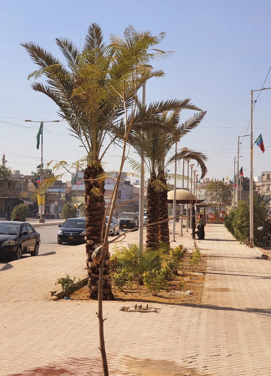 murtazawahab1's tweet photo. Development work by #SindhGovt is almost complete in the Malir Saudabad area under the #Karachi Neighbourhood Improvement Project. This is going to be the 3rd open urban space developed under the KNIP initiative after Old City Area &amp; Korangi-Ibrahim Hyderi https://t.co/yVuBNC1A2y