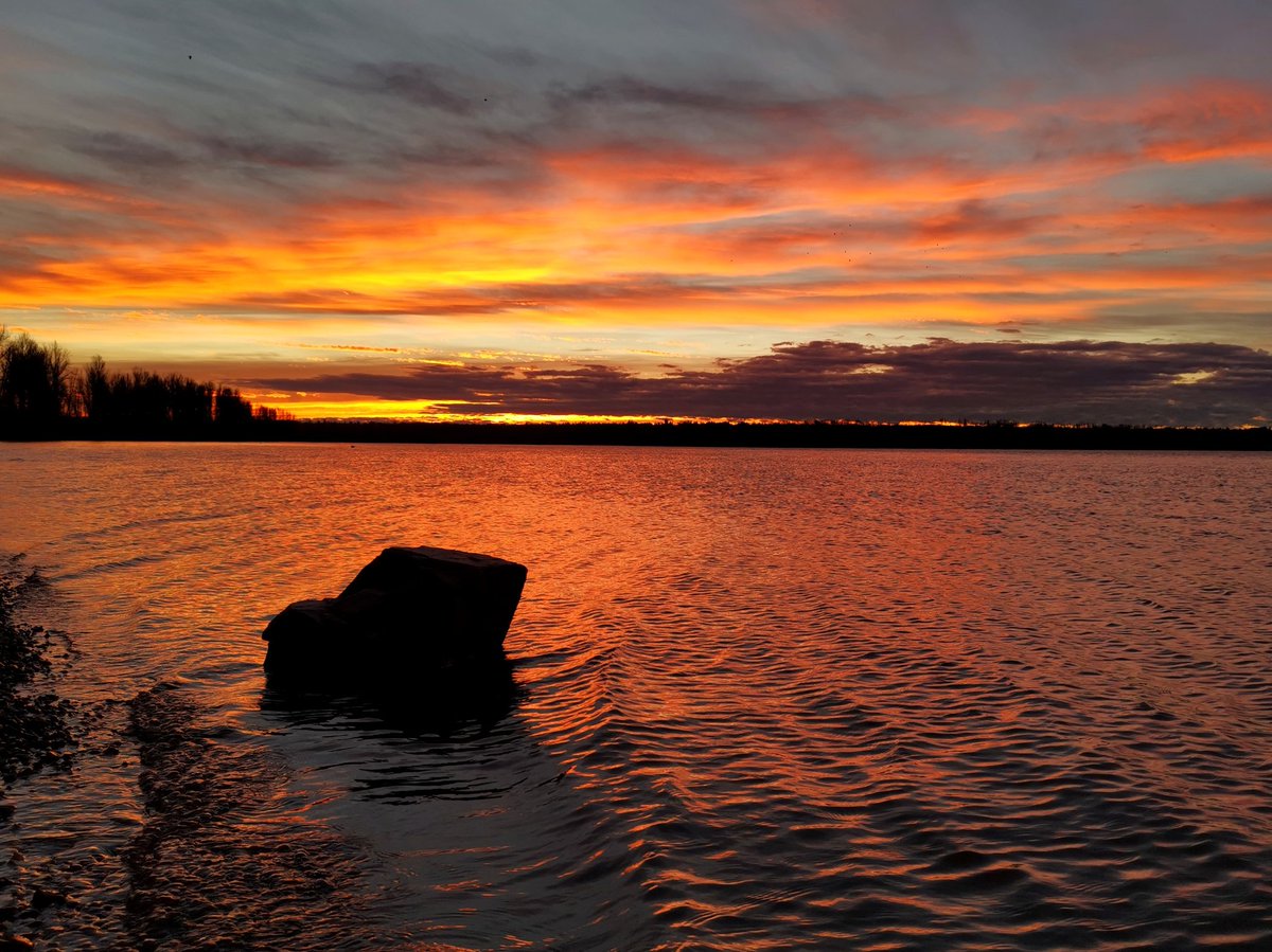 geordiemuppet's tweet photo. Good night #FraserValley
#FraserRiver
#ExplorBC #ExploreBritishColumbia #BeautifulBritishColumbia #BeautifulBC #BririshColumbia #sunset https://t.co/sui0b19WEY