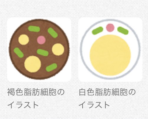 白色脂肪細胞 Twitter Search Twitter