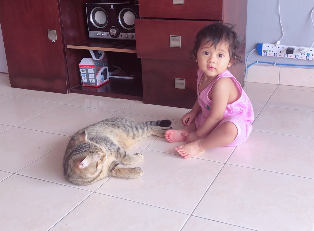 FamilyRexD's tweet photo. Tabby nak cuba kawan dengan Baby D, karena abg Rex tak nak kawan dg Tabby 😅 #babyandcat #bayidankucing #kucinglucu #catandbaby https://t.co/dz2E2KDpgn