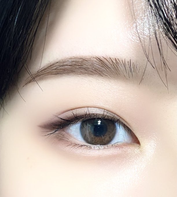 コンシャスライナーカラーのtwitterイラスト検索結果