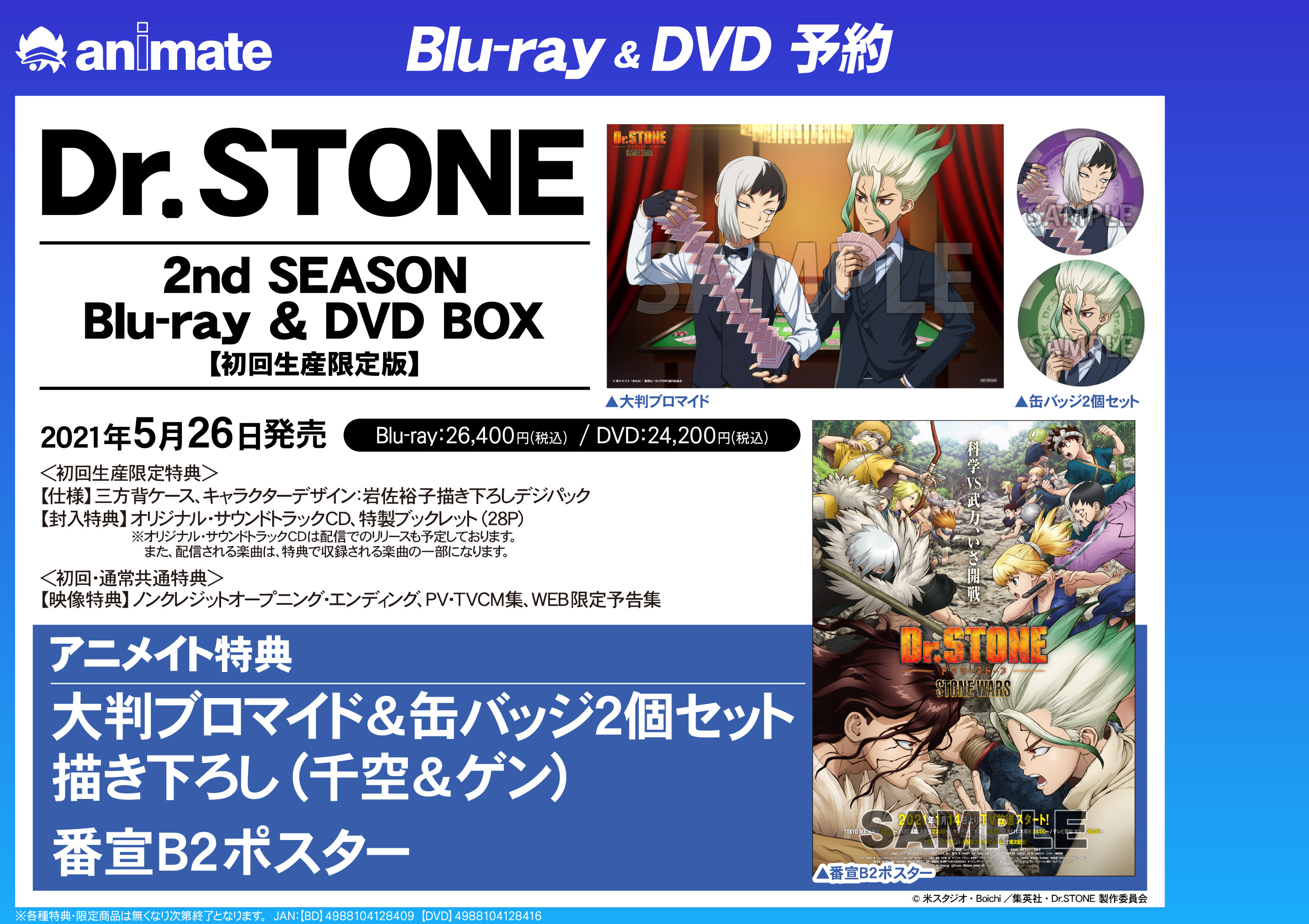 Dr.stone  ドクターストーン　千空　缶バッジ　Blu-ray  特典