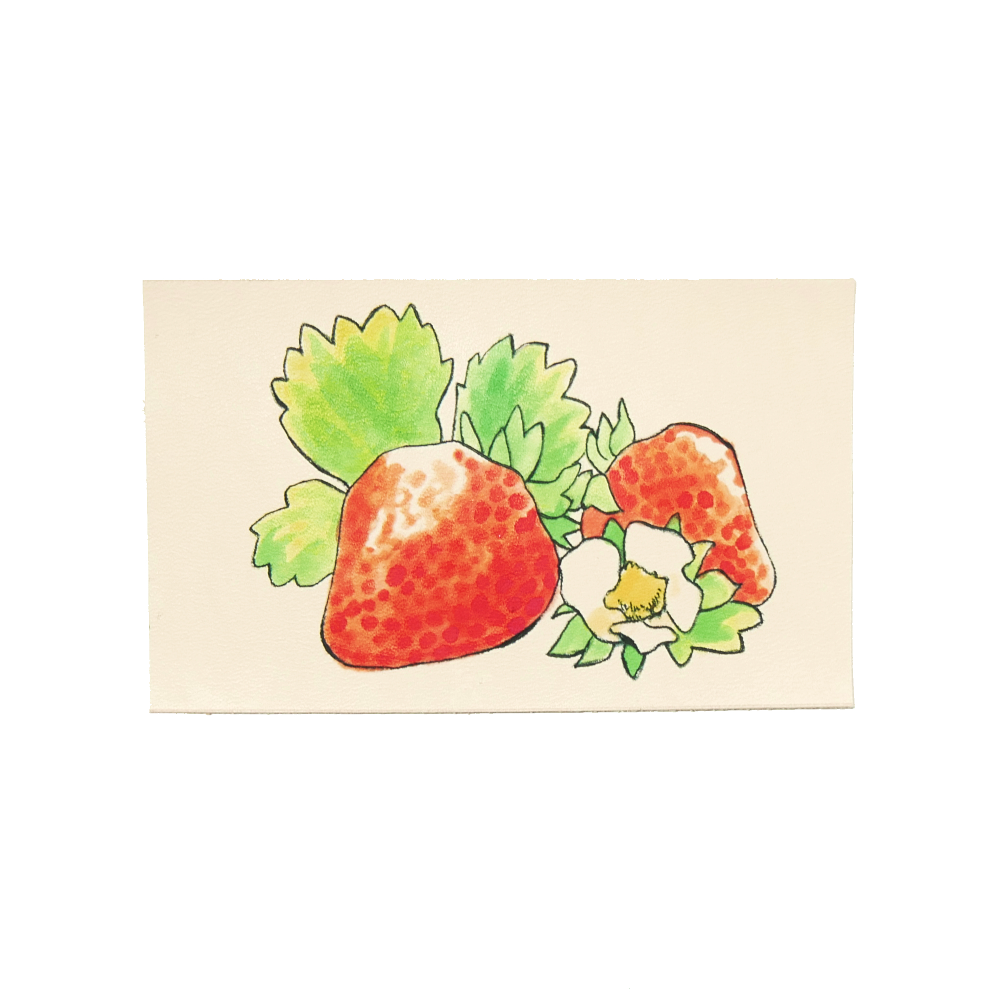 イラストレザーちょび 今日は いちごの日 です 平安時代は野生の野イチゴ が食べられていました 今普及している品種は 歴史的には新しく18世紀にオランダで南アフリカ原産のチリ種に北アメリカ原産の バージニア種を交配して育成したものが 現在のいちご