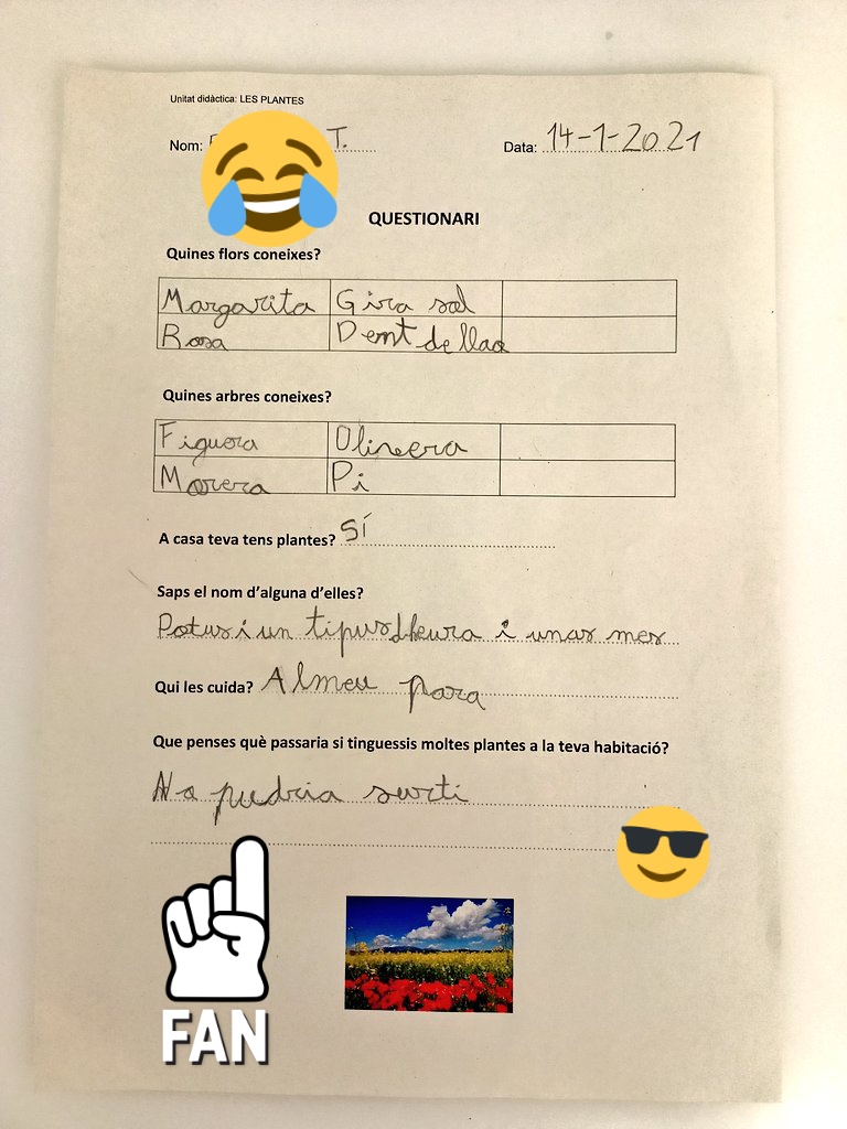 felip_lorenzo's tweet photo. Els nens sempre et sorprenen. "Què passaria si tinguessis plantes a l'habitació?"

Quan els infants no tenen el model de la fotosíntesi al cap et surten amb altres models mentals. 

Gran oportunitat per evitar el #biomite "és perillós dormir amb plantes" https://t.co/6eqqkhdFSJ