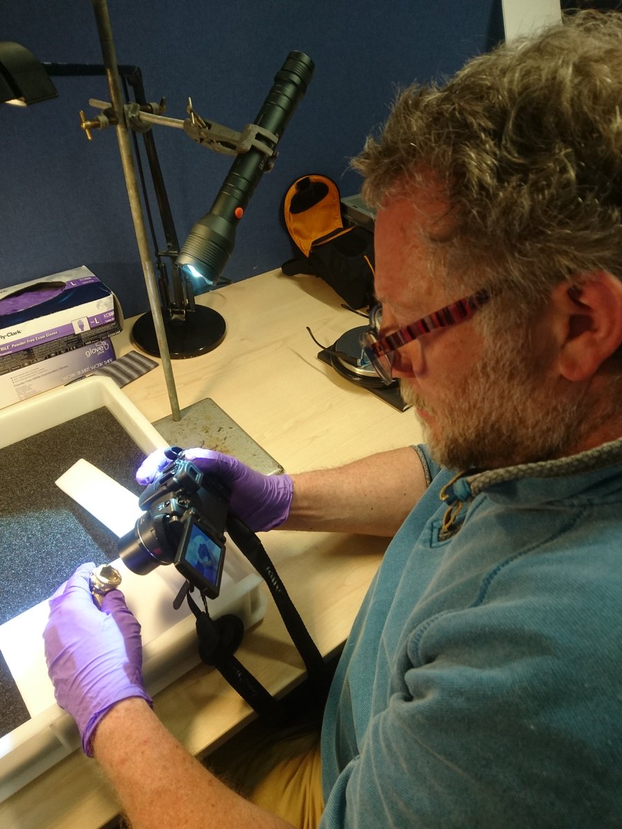 Except. Torcs aren't just treasure and that apparent lack of looking beyond the bling, and at the artefacts themselves has, we believe, led to a huge failure in their historic understanding as archaeological artefacts.