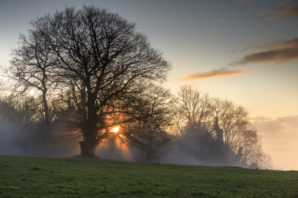 The warmth of the rising sun can bring a sense of renewal. #EveryoneNeedsNature