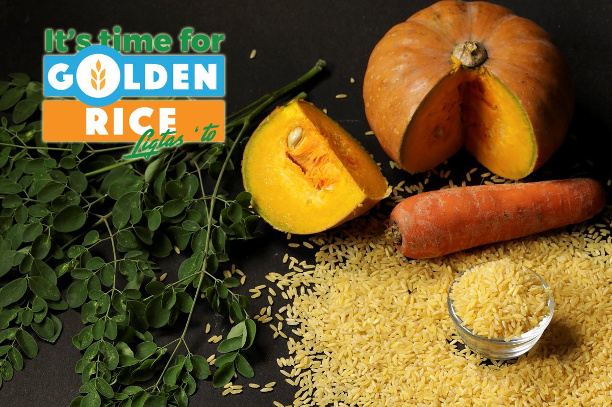 MalusogRice's tweet photo. Follow us on Facebook! 🌾Golden Rice Ph🌾
https://t.co/ZCXADPF1dp
Let your support for the approval of Golden Rice be heard! Send an email to: bpibiotechsecretariat@gmail.com
#ItsTimeForGoldenRice #GoldenRicePH #GoldenRiceAprub https://t.co/0qJ5FpOFWF