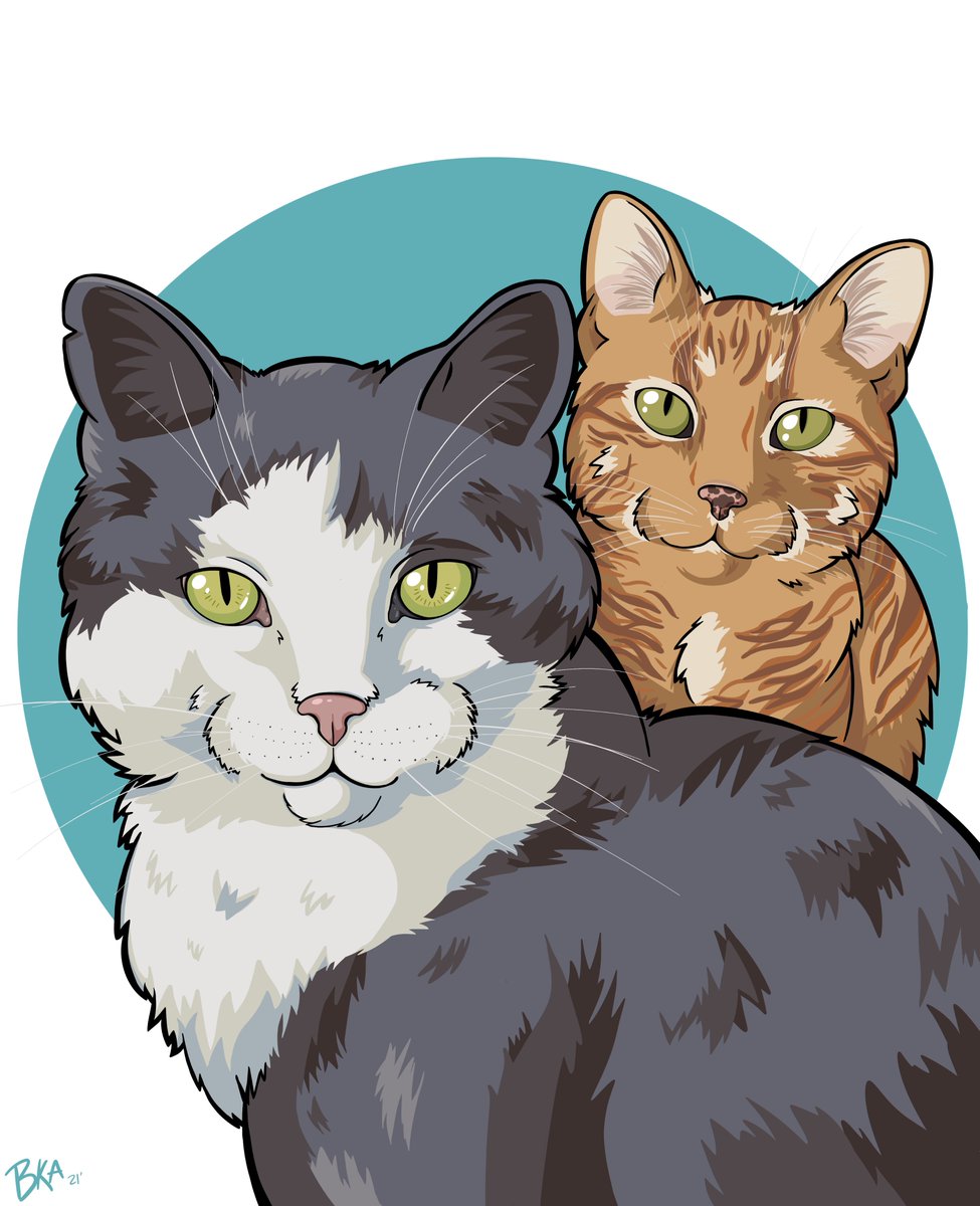 Bkkaaa1's tweet photo. IM SO PROUD OF MYSELF. 
k thanks.

#cats #CatPortrait #CatDrawing https://t.co/fnoNFJ4IIZ