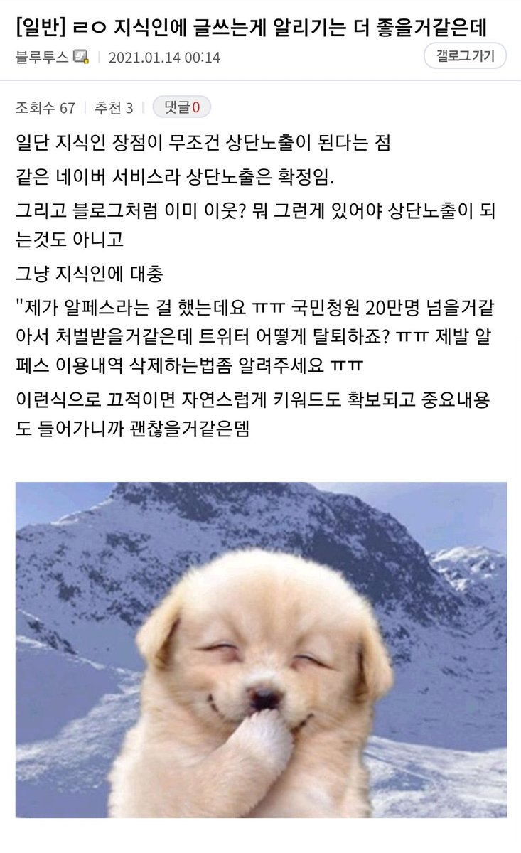 여성주의 총공 tweet media