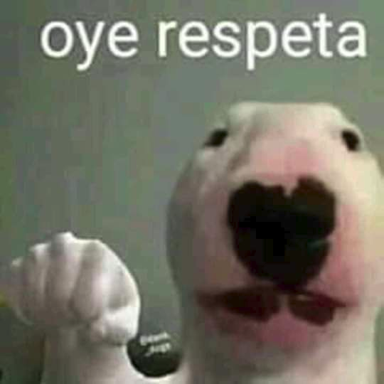 theerikiu's tweet photo. Ok, tienes una segunda oportunidad: Vas por la calle (eres periodista de nuevo) y ves que a un colega lo atacan en plena calle mientras intenta reportar un suceso, ¿qué harías? La única respuesta correcta es que hagas algo porque estás en LA OBLIGACIÓN de ayudarlo #ART29 #CEPVG https://t.co/3AMs7dKCJh