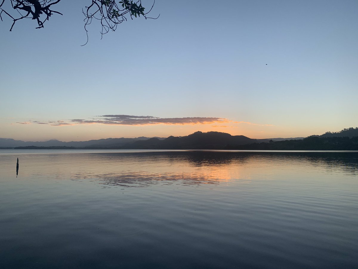 Gerrie Viljoen tweet media