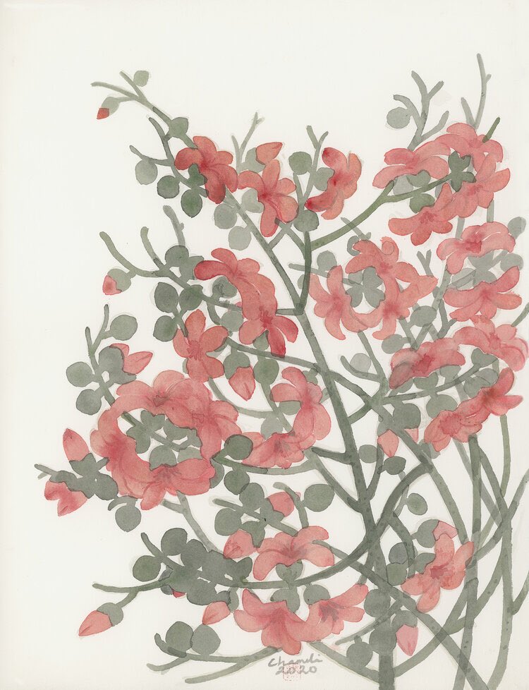 India Art Fair On Twitter From Orchids Lilies To Chrysanthemums Chameliramachandran S Flower Studies Are An Exploration Of Human Emotions Check Out Her Complete Works At Artvadehra In Delhi On View Until