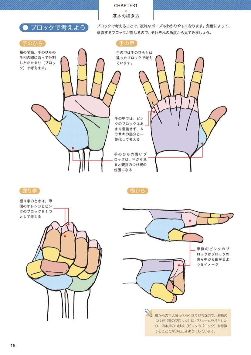 手をブロックで考えるとかなり描きやすくなります!親指の付け根の部分は三角みたいな形って考えるのがいいかも
手は人体で最も器用な部分、それ故に描くのが一番難しいと言われている
けど描ければ表現の幅がググッと広がるから頑張っていきたい 