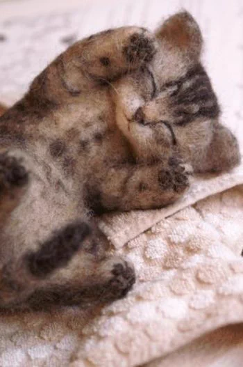 @mofmof_iyashi @neko2time1 凄いですよね(;ﾟдﾟ) 