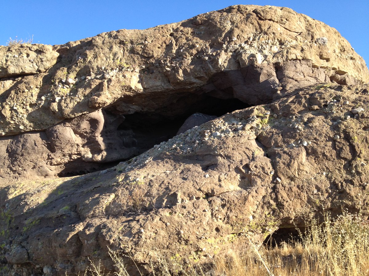 Jeffrey Scott Shirk tweet media