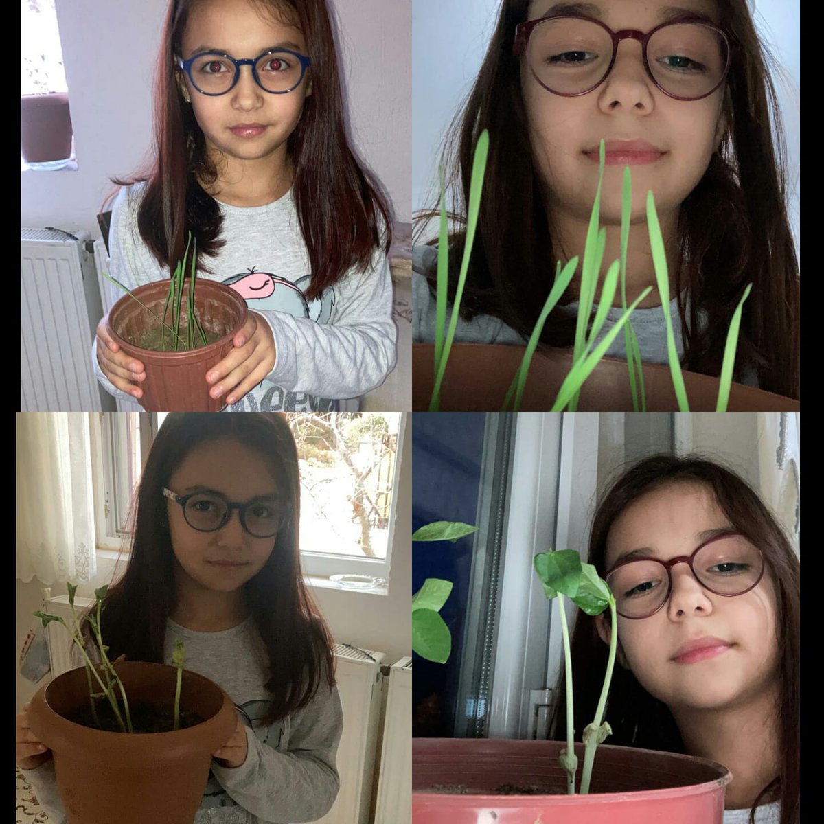 BahcesehirMugla's tweet photo. 2.Temamız olan Yeşil Dünyamız kapsamında ilkokul öğrencilerimiz Stem projelerini tamamladılar.

❤️💙

#STEMgelecektir #STEMjunior @ErkenCocukluk @SencerCorlu @benaykaragz @cuneytd1 @mserhankal https://t.co/k6yP8HJ0PA