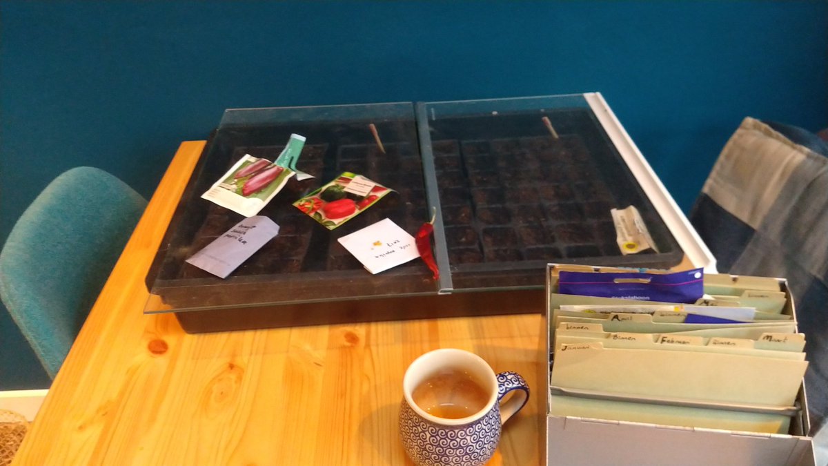 Mijn moestuin seizoen is gestart!