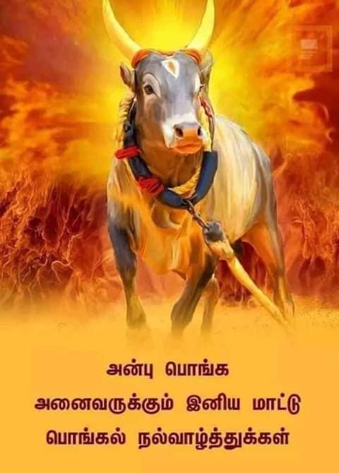 Ilayaraja tweet media