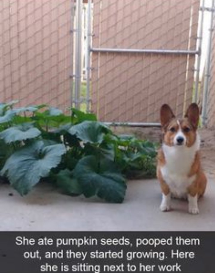 2. You reap what you sow, i guess 